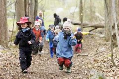 <b>森林做教室 带你看看世界各国的儿童自然教育</b>